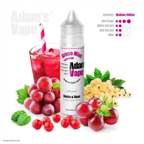 Adam's Vape Grape Mint 12/60